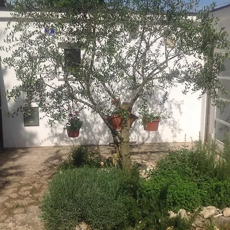 House Altea Banjole