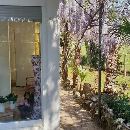 House Altea *