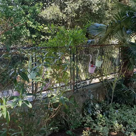 House Altea Holiday home *