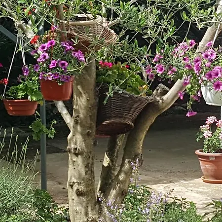 House Altea Σπίτι διακοπών