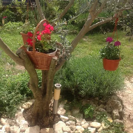 House Altea Dom wakacyjny *